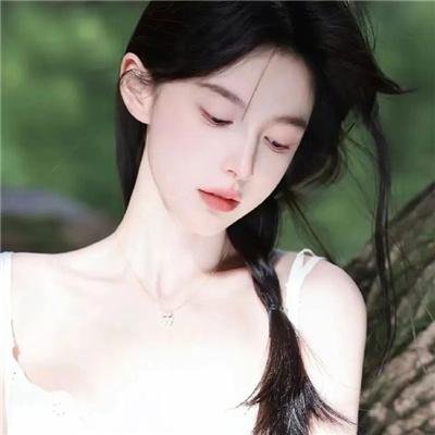 雁南飞