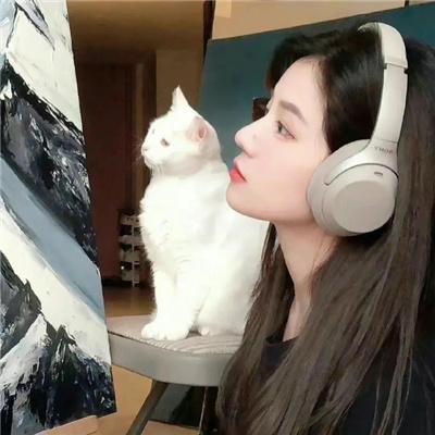 云上情歌
