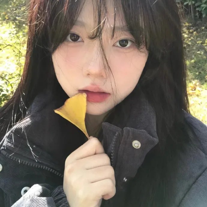 谍战千面龙